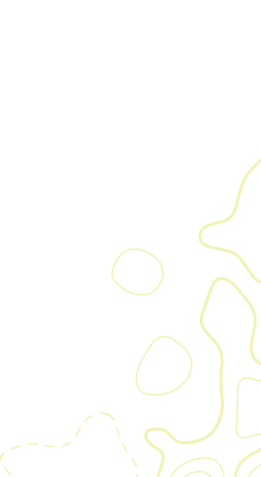 aboutvector LisbonAdventurecom